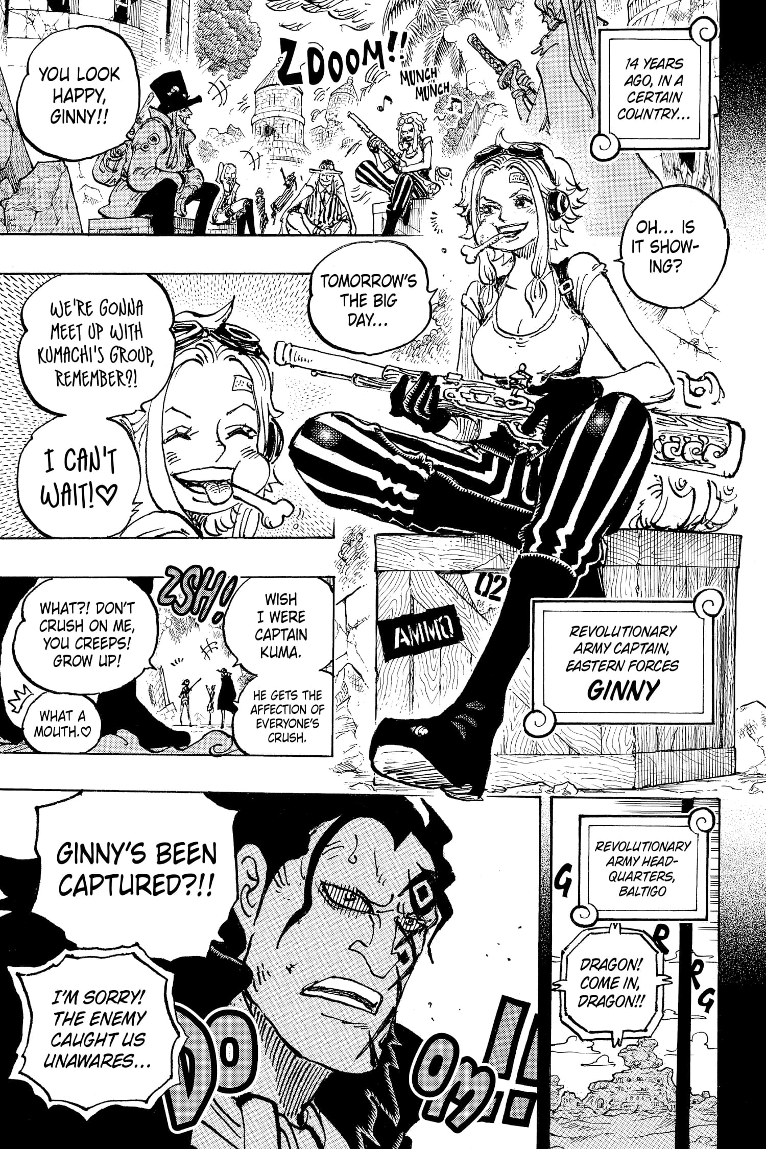 One Piece, Chapter 1097 image 12